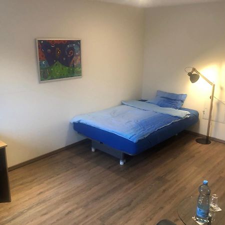 Calm Spacy Room, Own Modern Bath, Near Center, To 1 Person Or A Couple - Not Suitable For Craftsmen, Not Accepted - Privatly Rented Νυρεμβέργη Εξωτερικό φωτογραφία